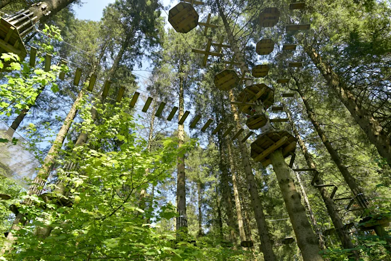 Hire ropes course in Grizedale Forest, Lake District, UK