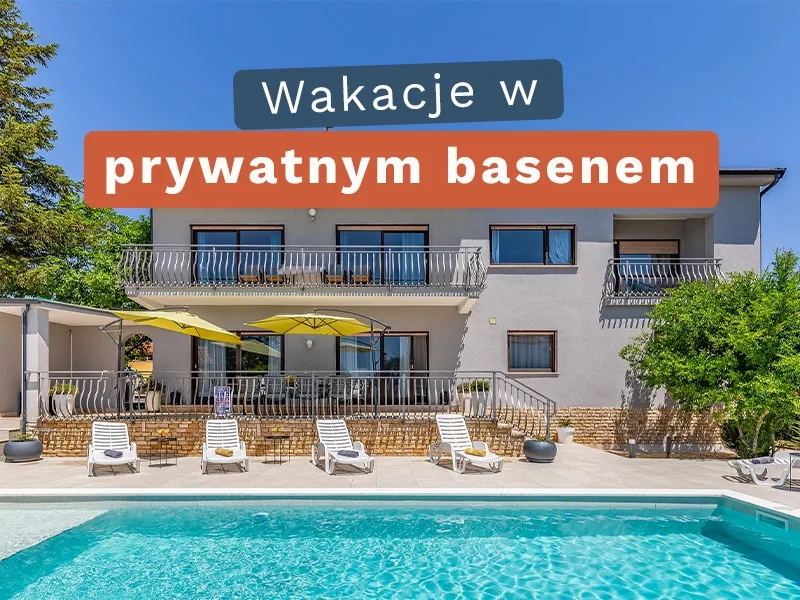 Zobacz nasze wspaniałe OFERTY