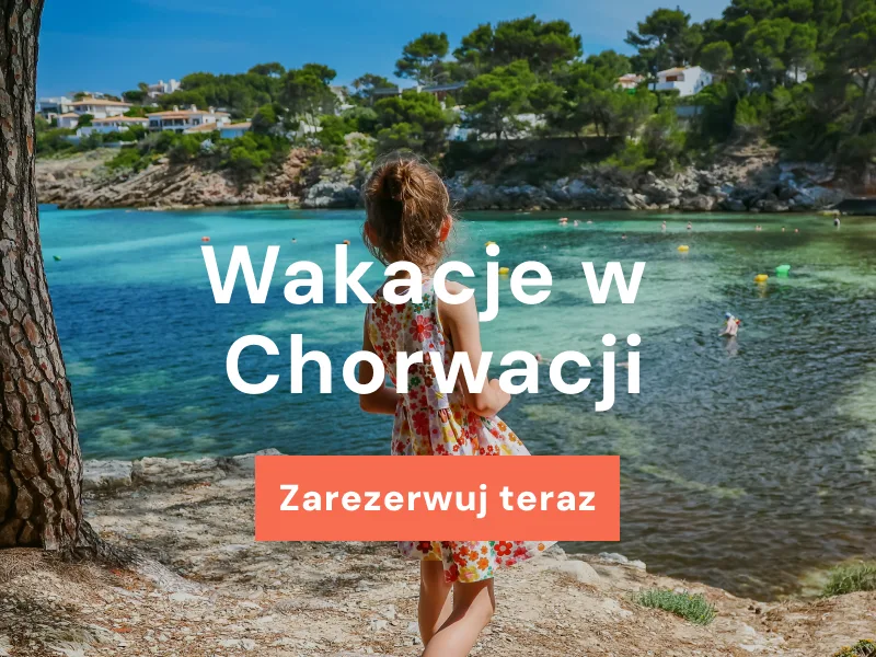 Zobacz nasze wspaniałe oferty