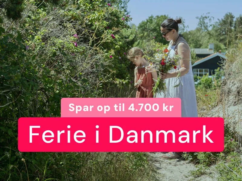 Få sommerferien på plads i dag