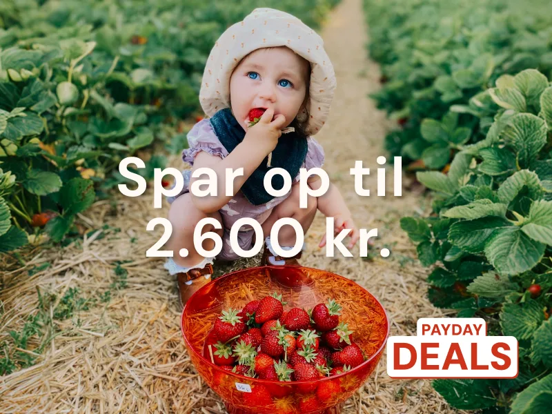 Ferie I Danmark venter