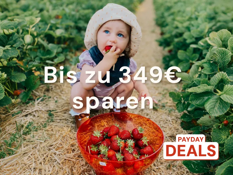 Urlaub in Dänemark