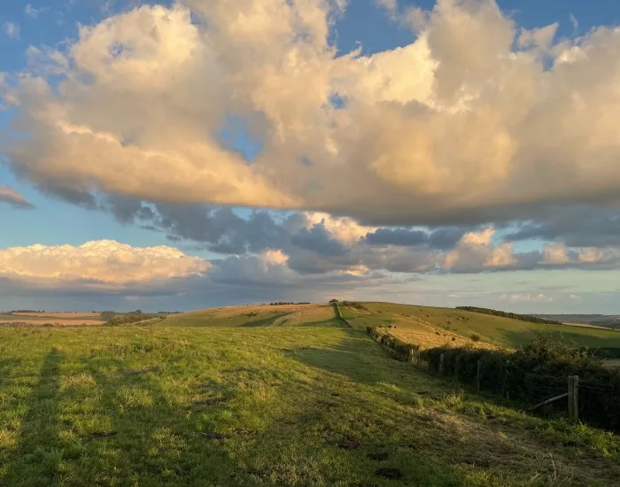 Countryside in the North Wessex Downs AONB