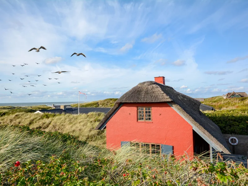 Urlaub mit Hund in Dänemark