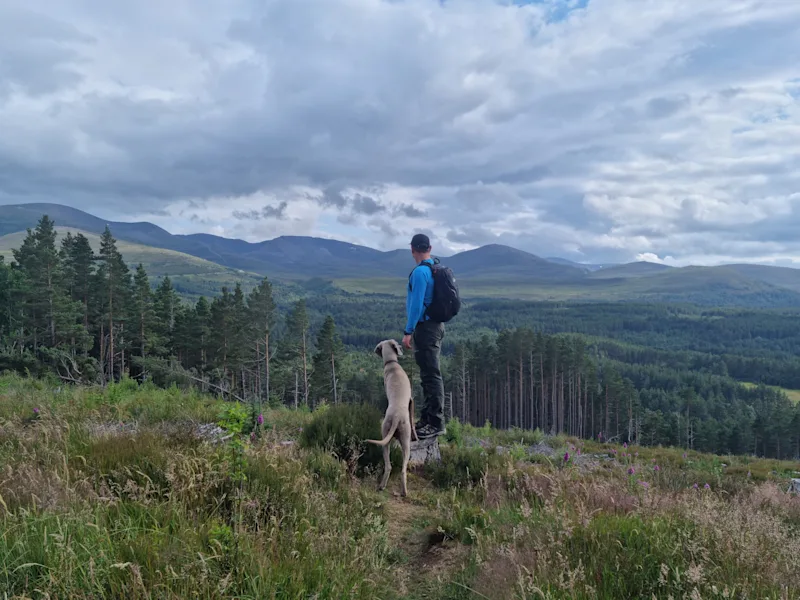 Weimaraner dog and hiker in the forests, mountains and lakes around Glenmore in the Cairngorm National Park in the highlands of Scotland, UK