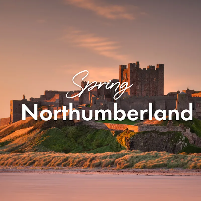 Spring in Northumberland, Bamburgh Caslte