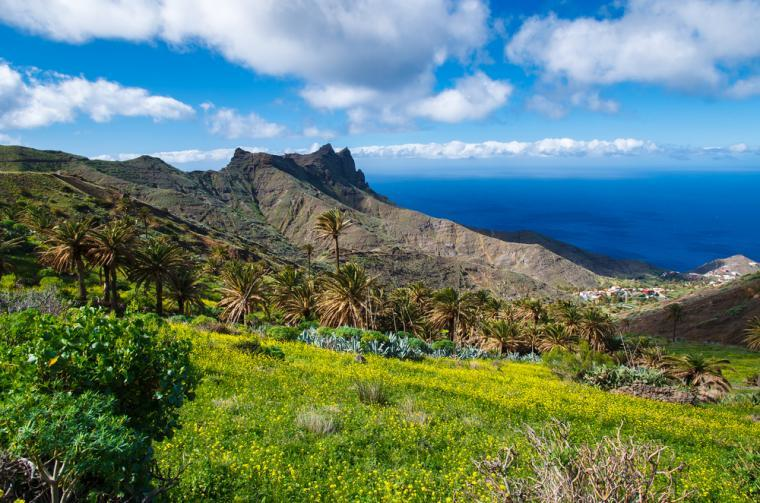canary islands