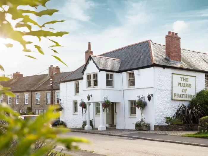 The Plume of Feathers, Newquay