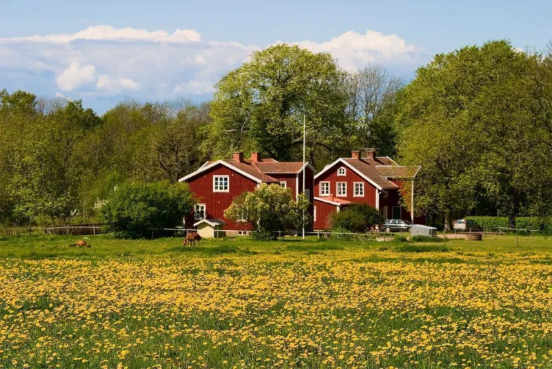 Sommerhus i det sydlige Sverige