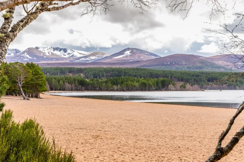 Loch Morlich, Glenmore, Scottish Highlands, Scotland, UK