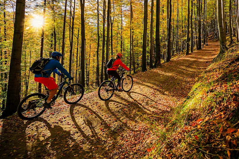 Cycling, mountain biker couple on cycle trail in autumn forest.