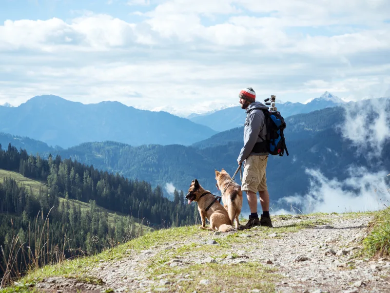 Urlaub mit Hund in Österreich