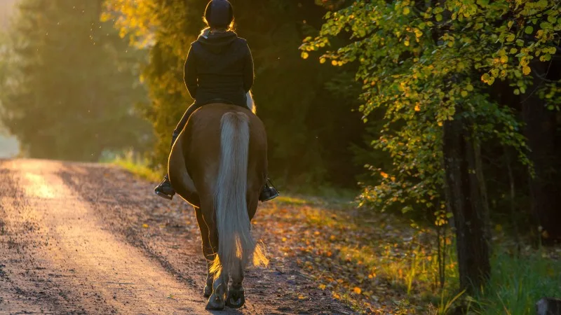 Woman horseback riding in sunset