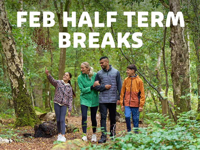 Save up to 30% this February half term