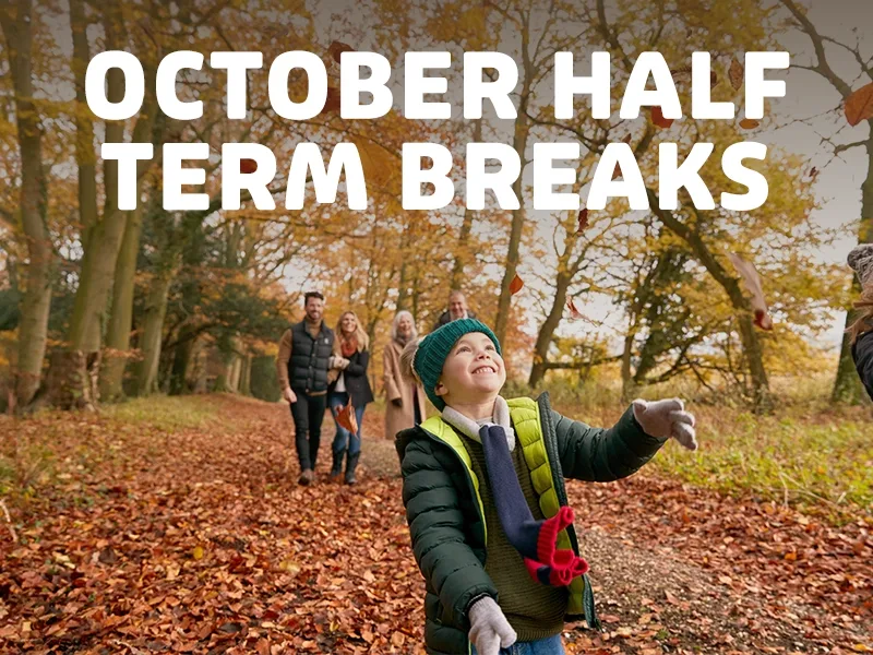Save up to 20% this October half term
