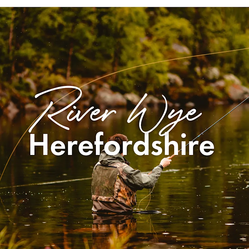 Fly fishing on the River Wye, Herefordshire