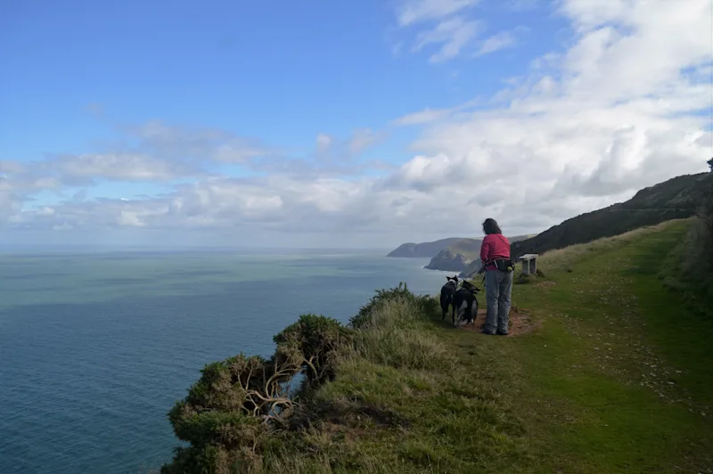 Dog walk along the Exmoor coast near Lynton, North Devon, UK