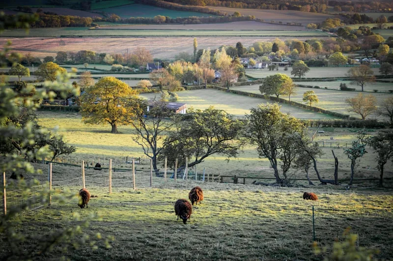 Thirsk countryside