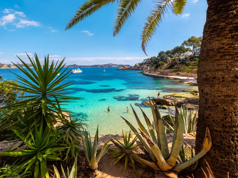 Cala Fornells (Calvià)