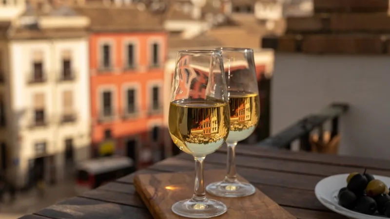 Tasting of Spanish sweet and dry fortified Vino de Jerez sherry wine with view on roofs and houses of old andalusian town