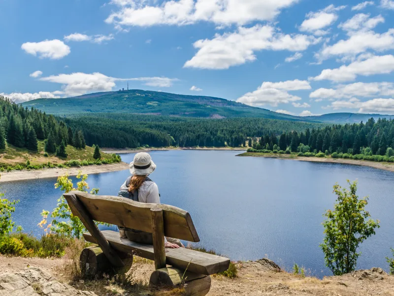 Last Minute Ferienhäuser im Harz