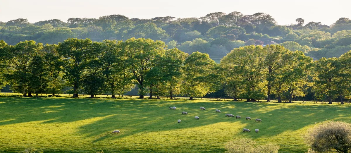 View of countryside in the High Weald AONB