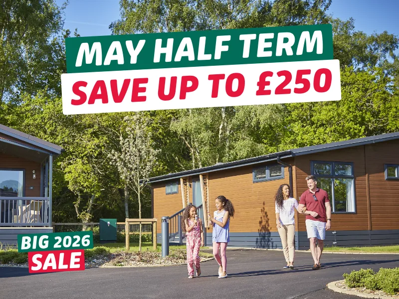 Half term made easy