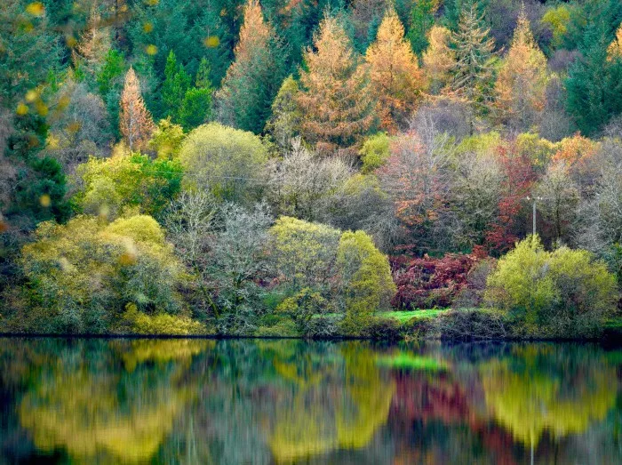 Autumn colours at Llyn Onn reservoir in the Brecon Beacons. 