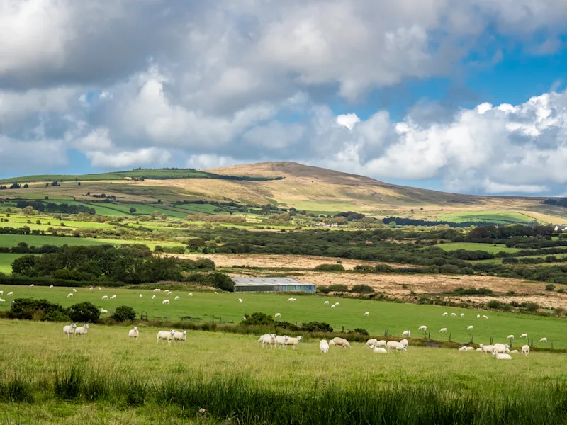 Preseli Hills, Pembrokeshire, Wales, UK