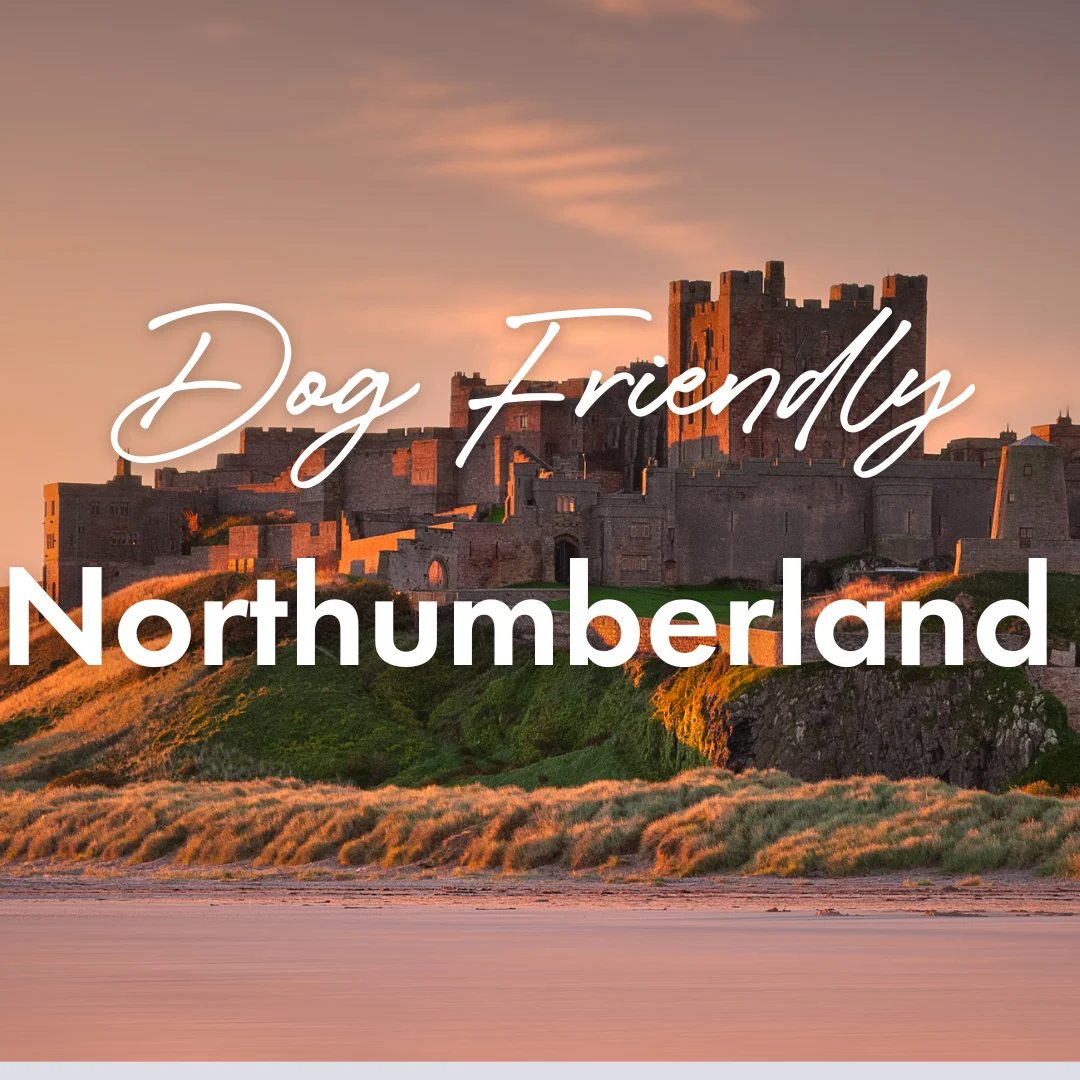 Bamburgh Castle