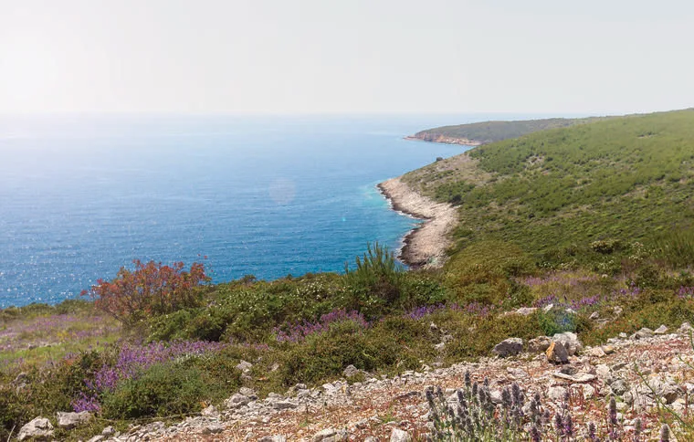 Premantura Coastline