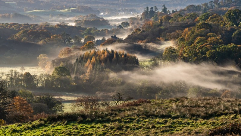 Misty autumn morning in the Fleet Valley National Scenic Area, near Gatehouse of Fleet, Dumfries & Galloway,