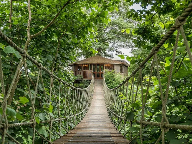 Escape to the Treetops