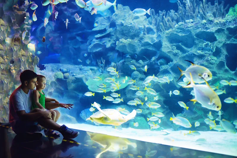 Father and child admiring fish at an aquarium