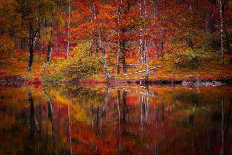 Autumn in the Lake District
