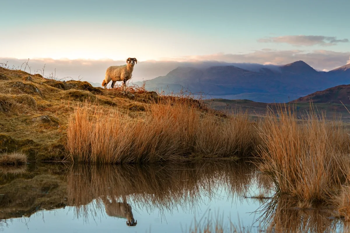 Coniston countryside