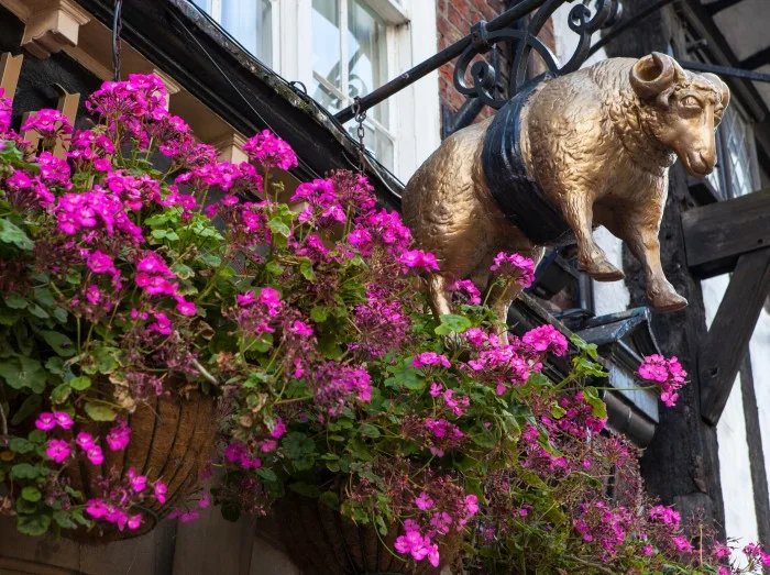 The Golden Fleece Public House in York