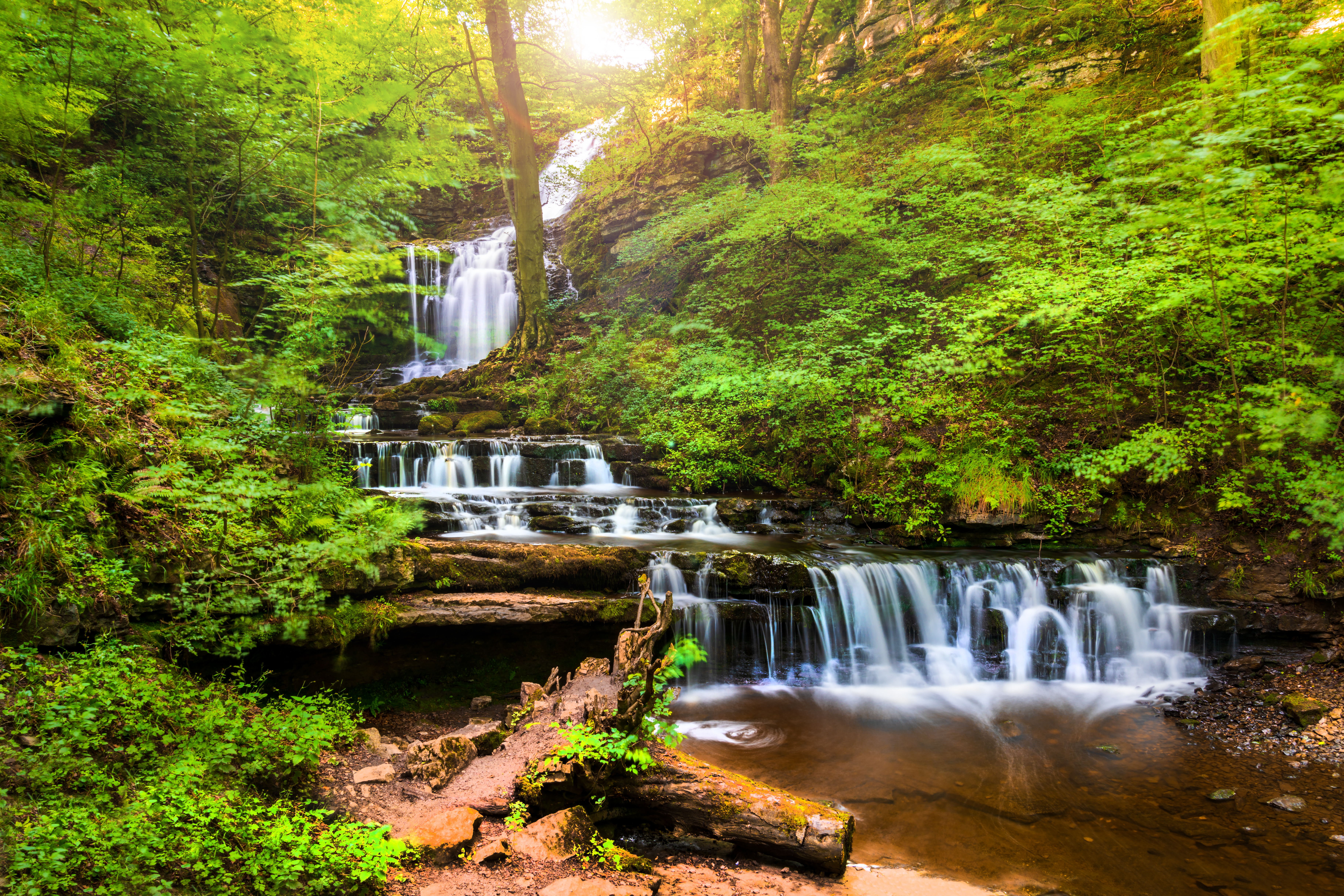 Scaleber Force, near Settle, Yorkshire Dales, Yorkshire, England, UK