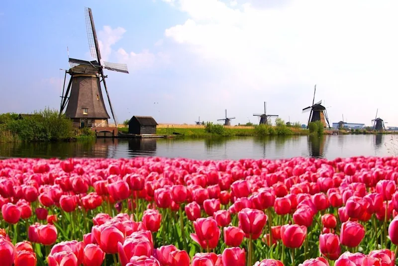 Holiday homes in Holland