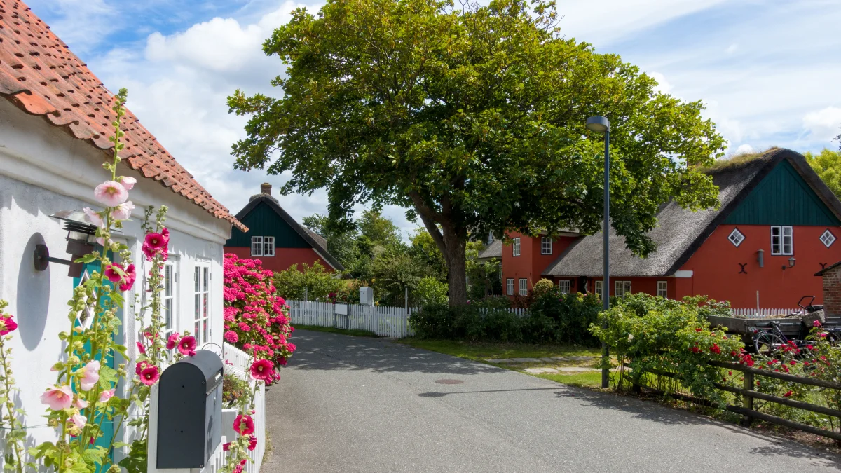 Drachensteigen auf Fanö