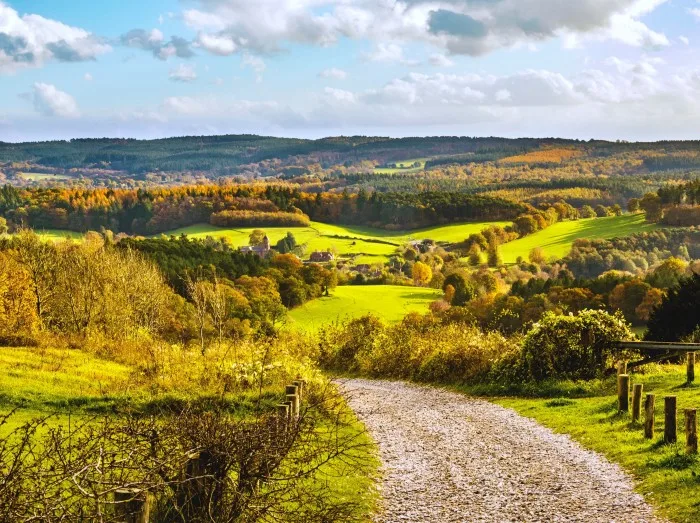 View of the Surrey countryside in England