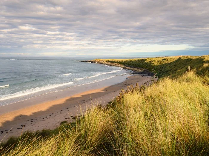 Snook Point at end of Beadnell Bay, on the Northumberland coast, a designated Area of Outstanding Natural Beauty AONB