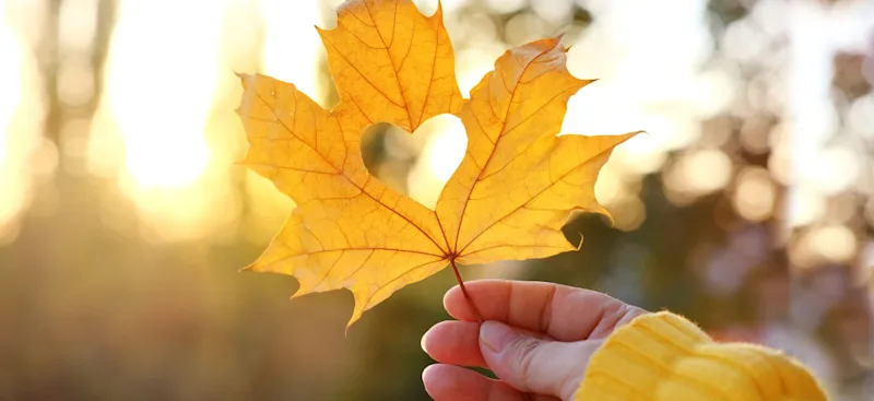 Autumn in the UK