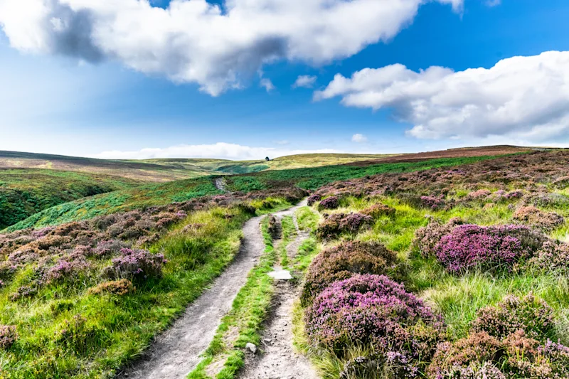 Haworth Moor, Yorkshire, England, UK