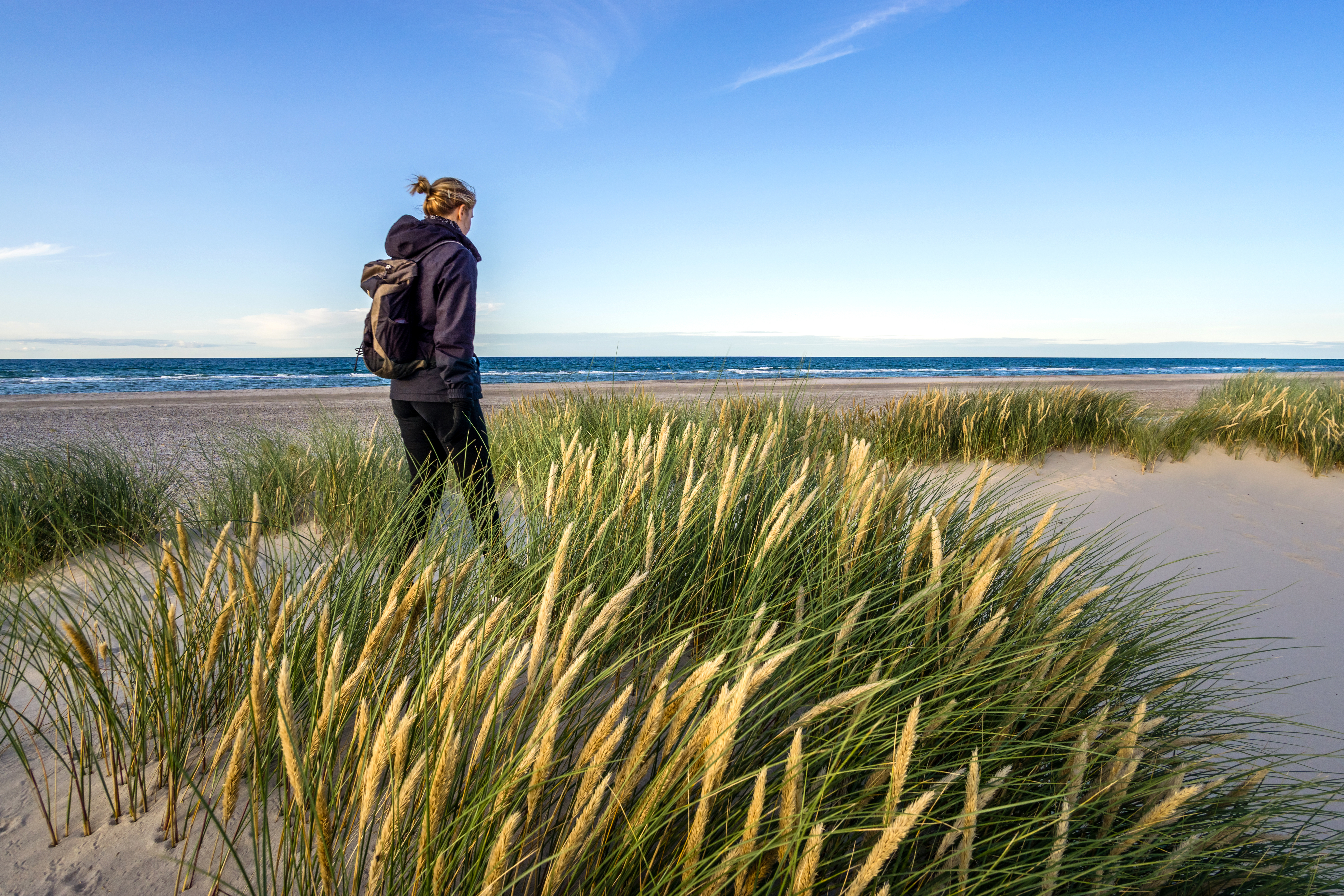 Eine Frau wandert in den Dünen am Strand in Dänemark.