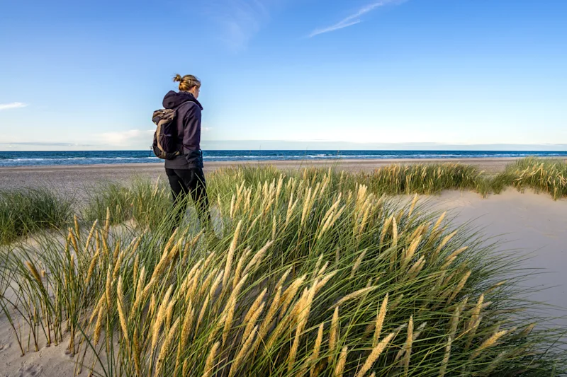 Eine Frau wandert in den Dünen am Strand in Dänemark.