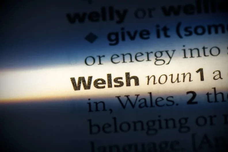 Welsh in dictionary