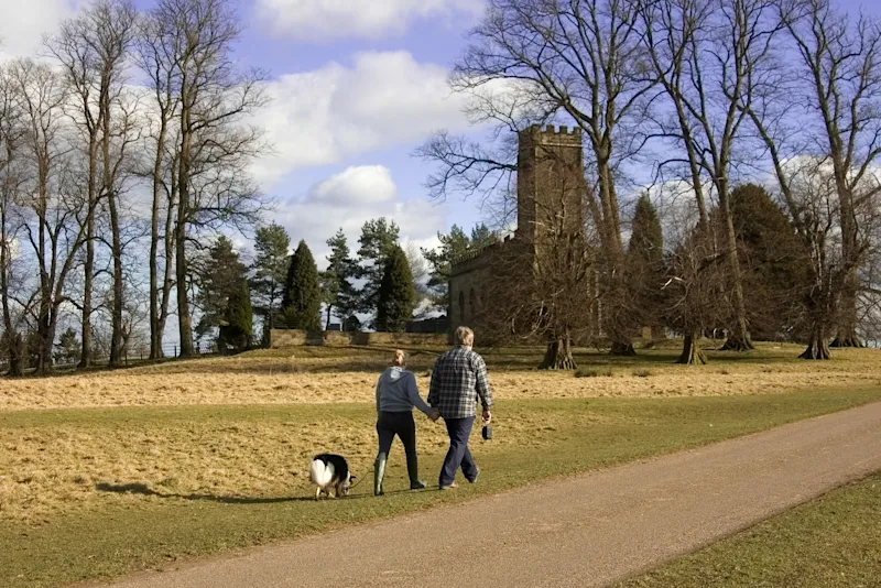 A dog walk around the grounds of Calke Abbey, Ticknall, Derbyshire, England, UK