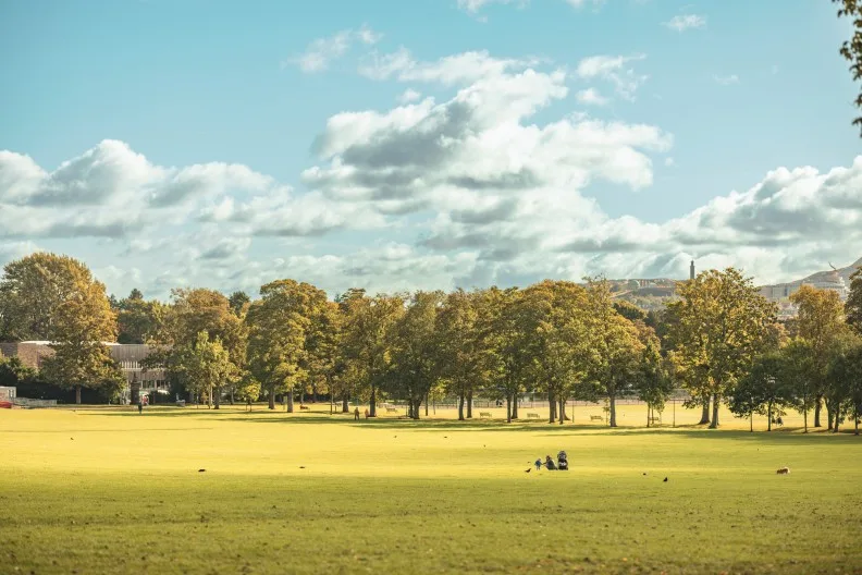 A dog walk in Inverleith Park in Edinburgh city centre, Scotland, UK