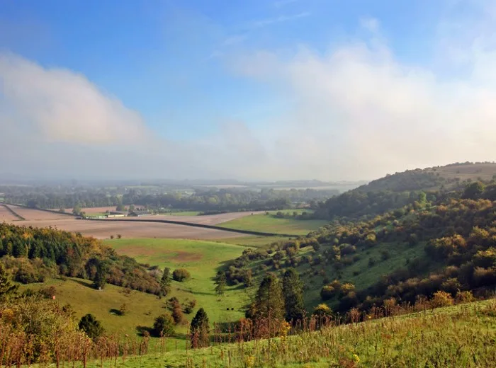 Wiltshire countryside